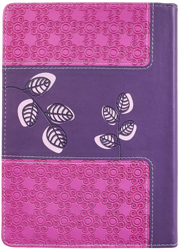 365 Days to Knowing God for Girls Devotional