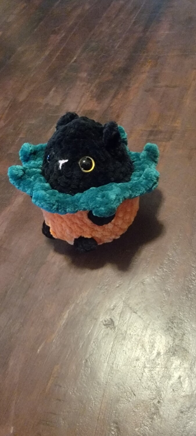 Cat in a Pumpkin