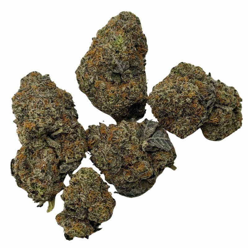 GELATO 45