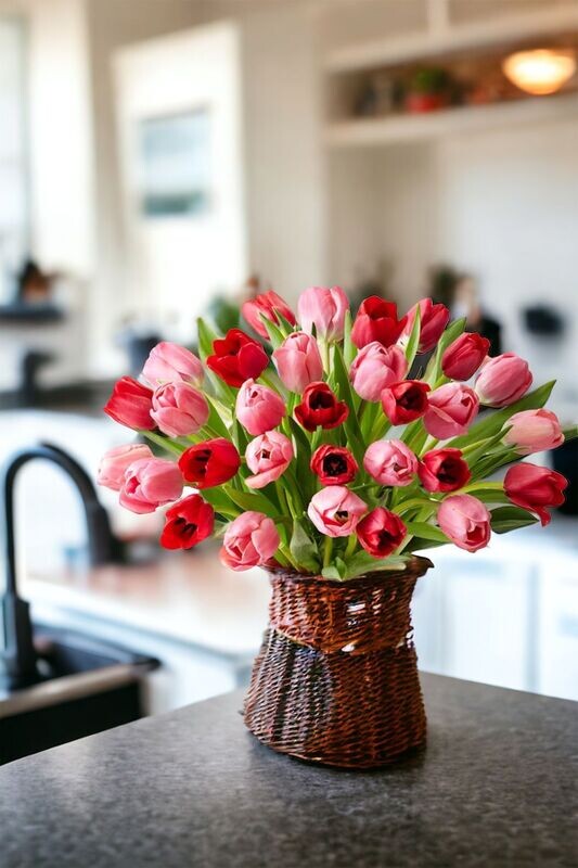 Tulip Love