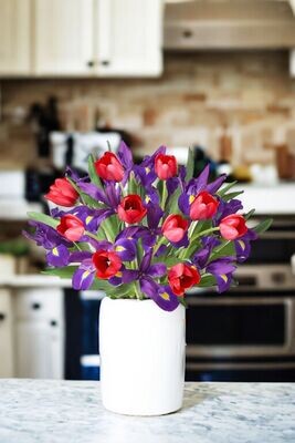 Tulip and Iris Bundle