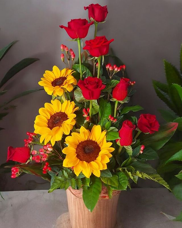 Cupid's Sunflowers