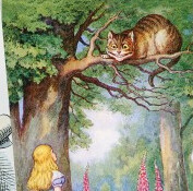 NB Alice & The Cheshire Cat Mini