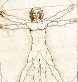 NB Leonardo Da Vinci Mini Vitruvian Man