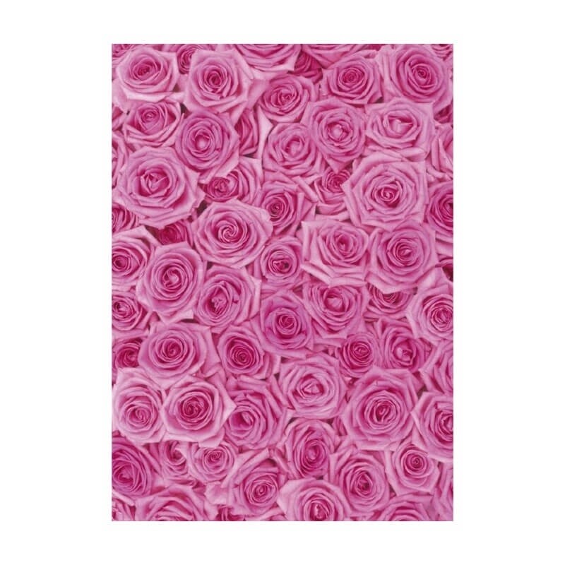 Pink Roses Wrapping Paper