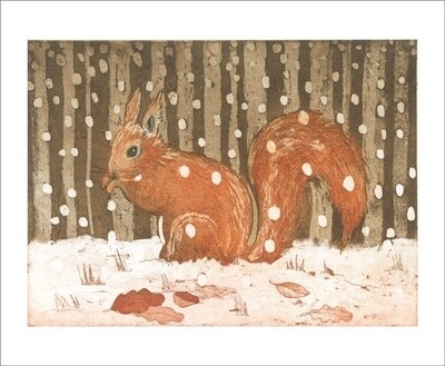 GCX Red Squirrel in Snow (12)