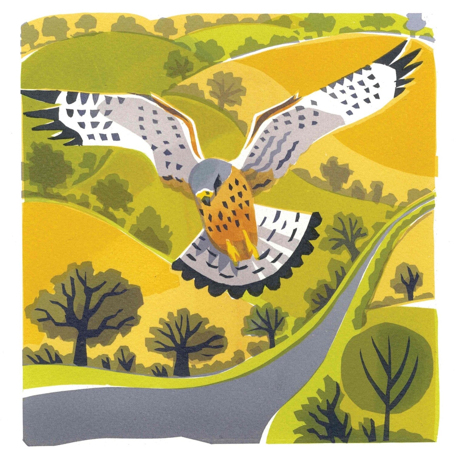 GC Windhover