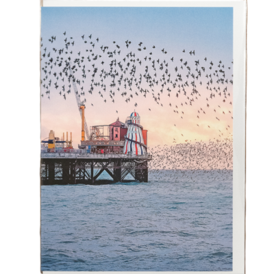 GC Murmuration over the Palace Pier