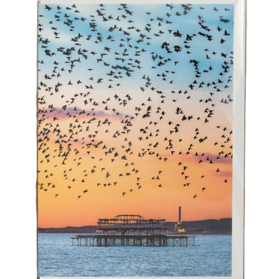 GC Starling Murmuration over West Pier