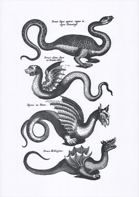 PT Dragons A3 Letterpress Print