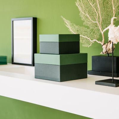 The Forest Office Collection
