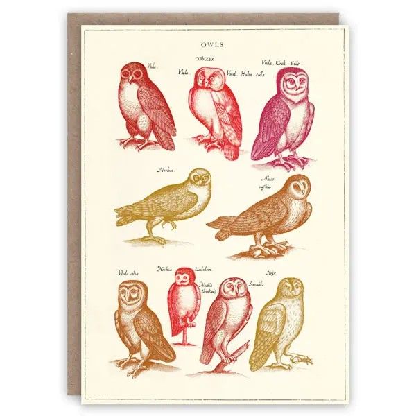 GC Owls Greetings Card