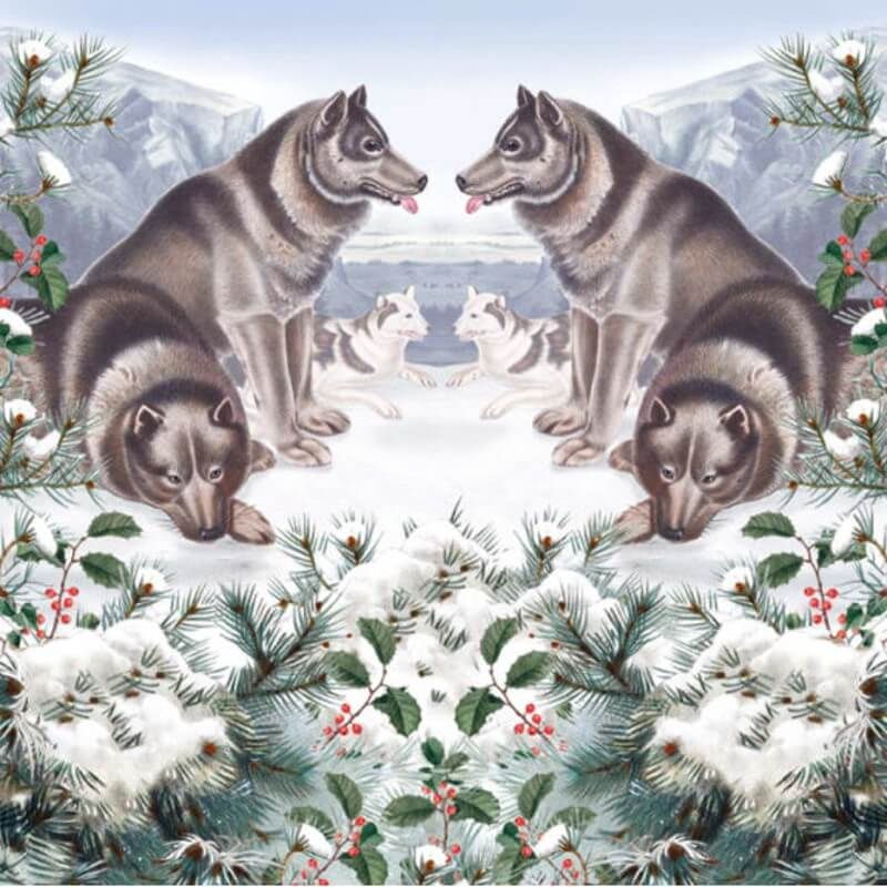 Canadian Eskimo Dog Greetings Card (Pack 5)