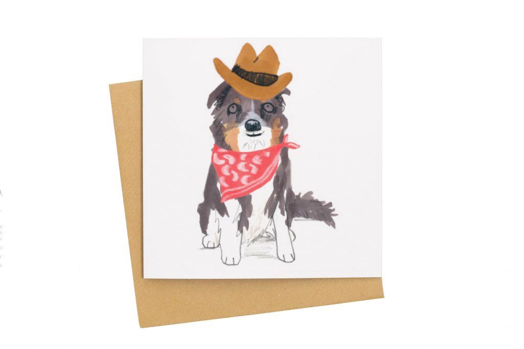 GC Border Collie