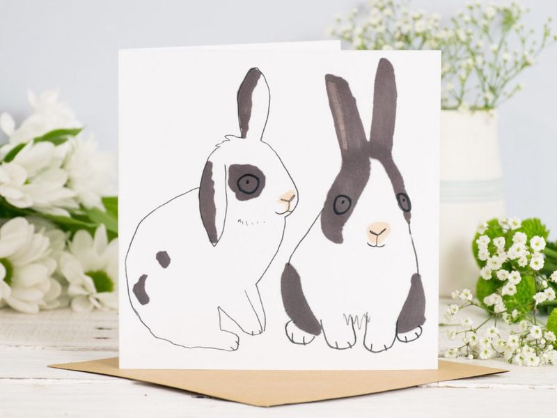 GC Bunnie Rabbits