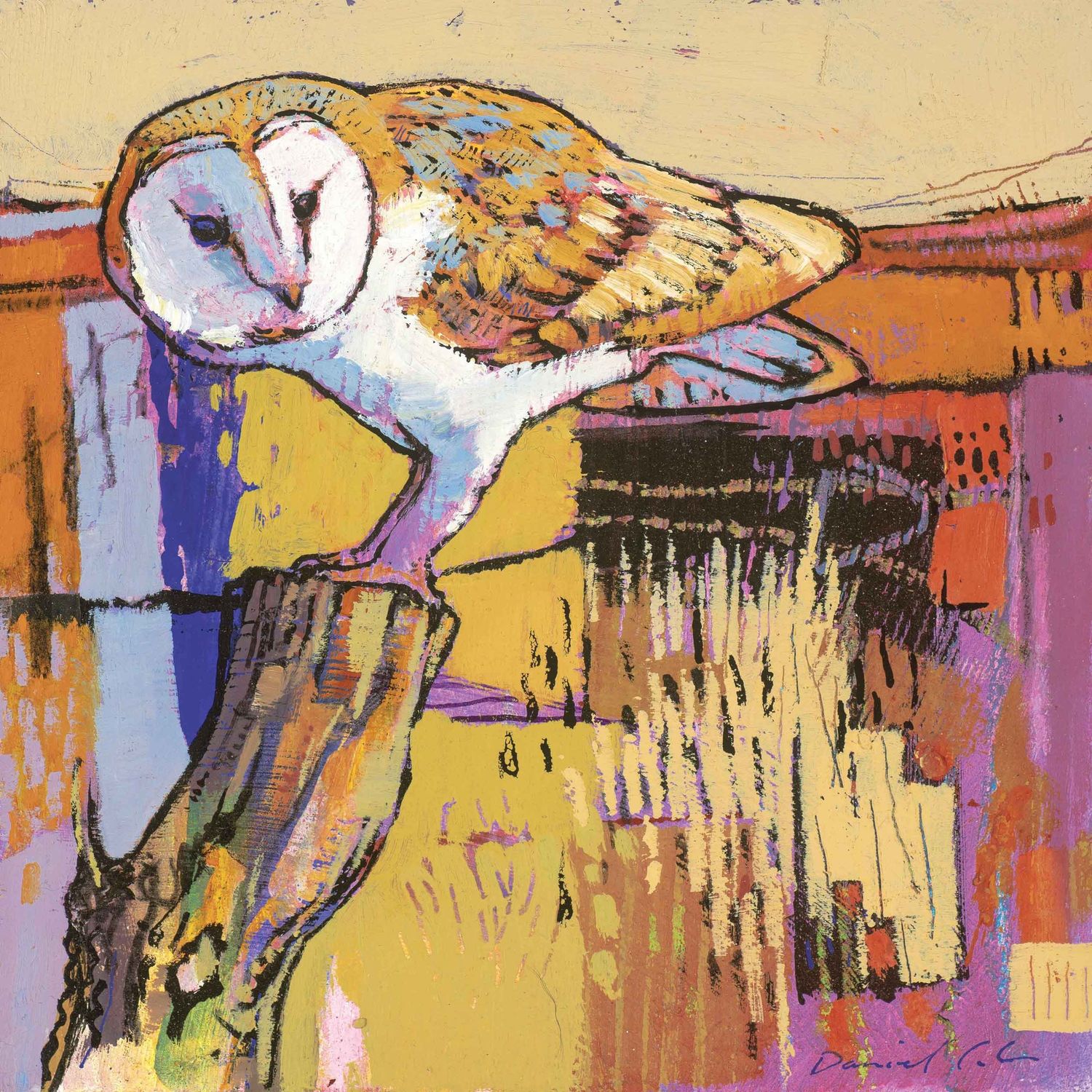 GC Barn OwlA