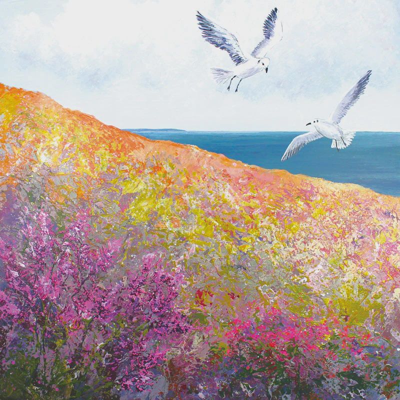 GC Wild Coast III (12)