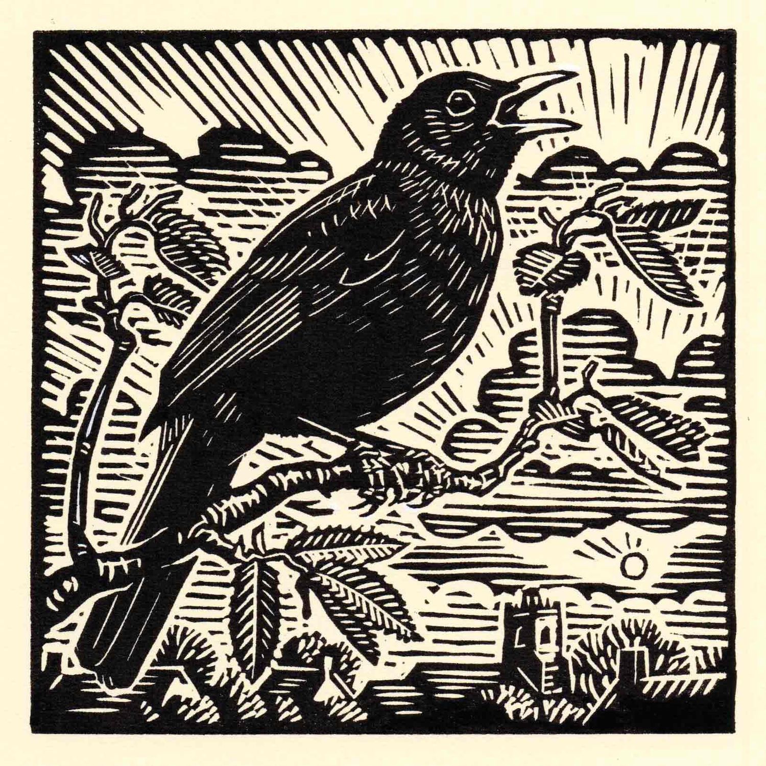 GC Bbird 002
