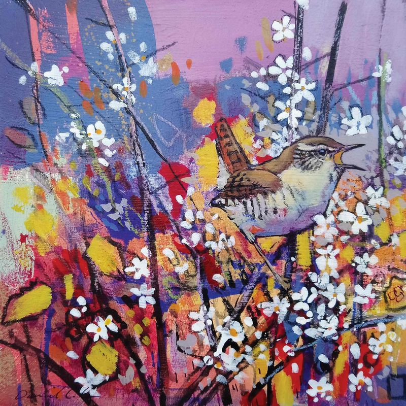 GC Singing Wren