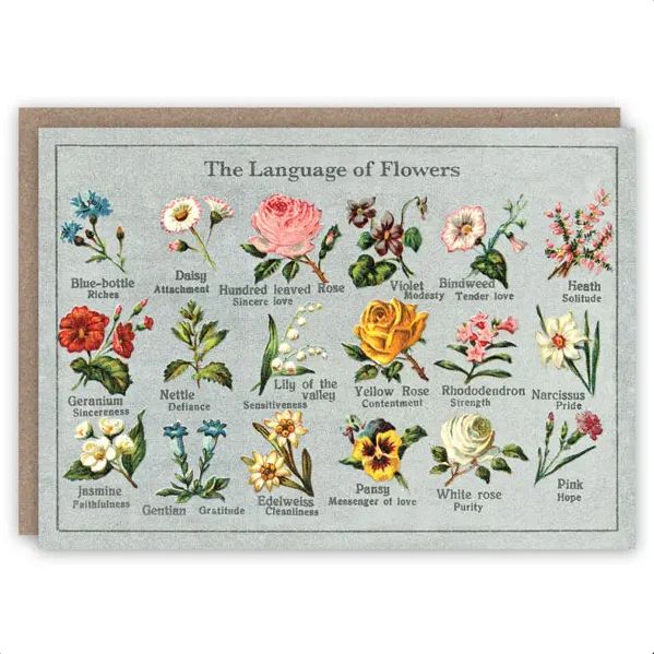 GC Language of Flowers Greeting Card
