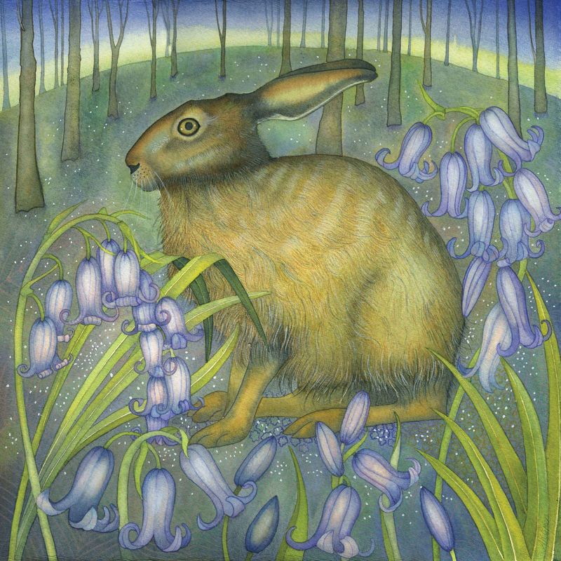 GC Bluebell Hare