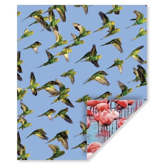 GW Parakeets/Flamingos