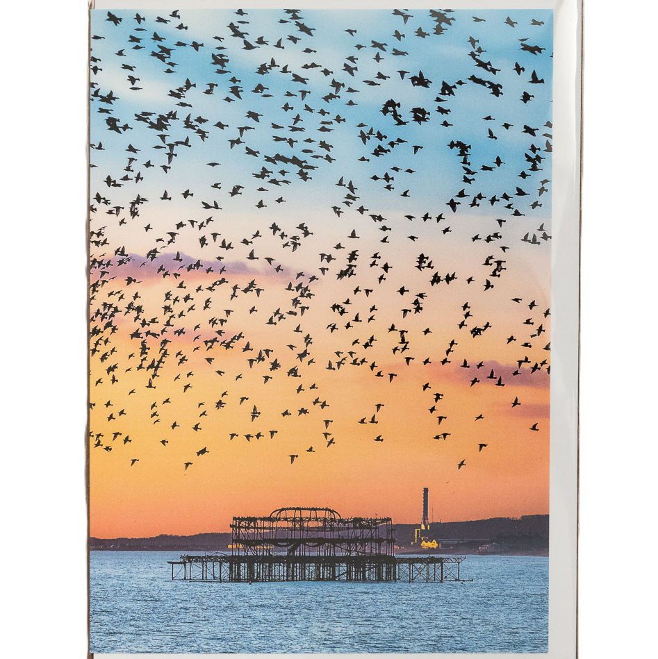 GC Starling Murmuration over West Pier