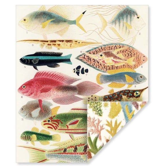 GW Great Barrier Reef