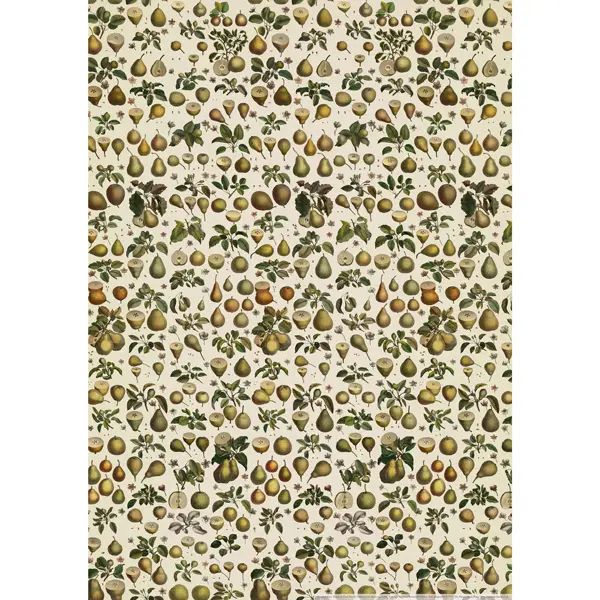 GW Pears Poster-Wrap