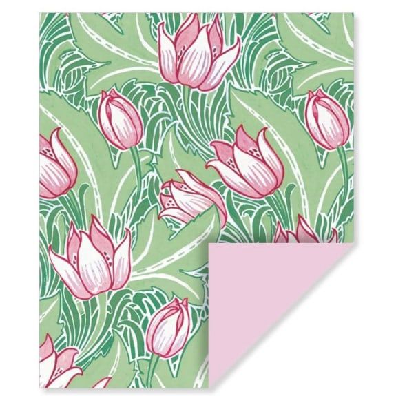GW Tulips