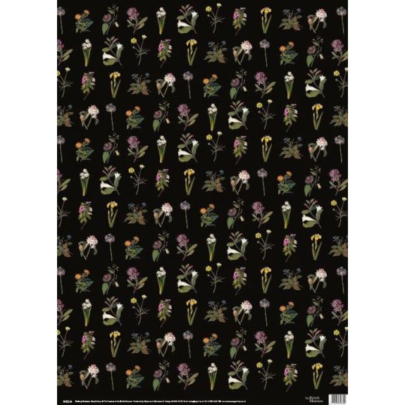 GW Delany Flowers SS