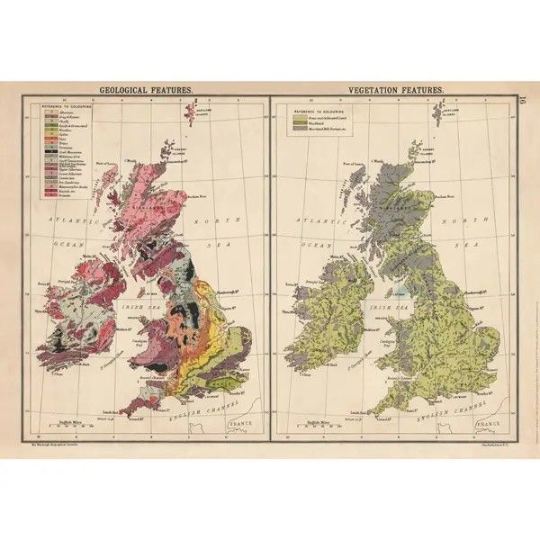 GW Geology &amp; Vegetation of Britain Poster Wrap