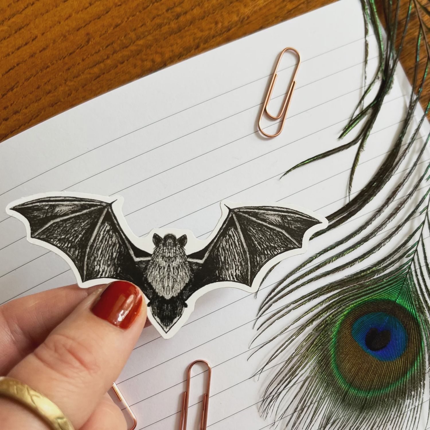 ST Pipistrelle Bat Stickers (6)