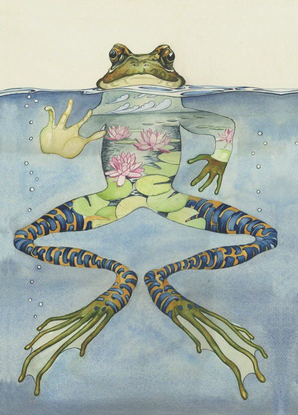 PT Medium Frog Print 11 x 14