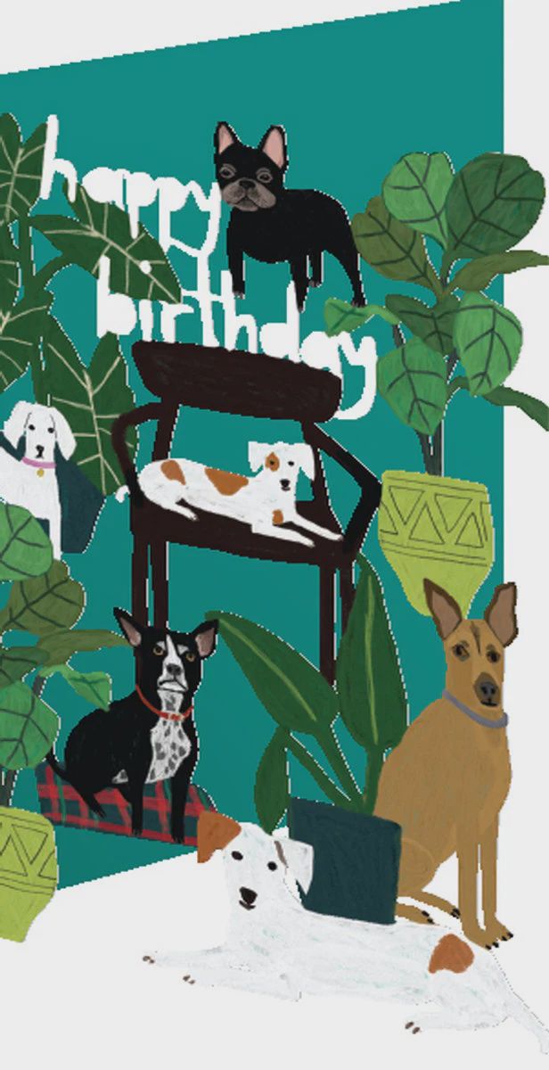 GCX Cat/Dog Palais Lasercut Sgl GCX 2073
