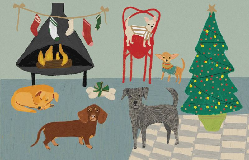 GCX Cat/Dog Palais Pk NSX 662