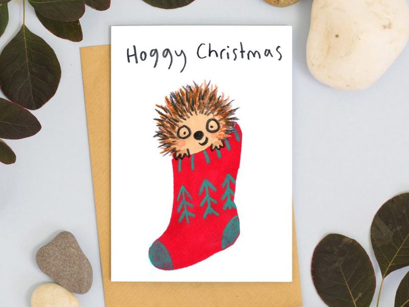 GCX Hoggy Christmas
