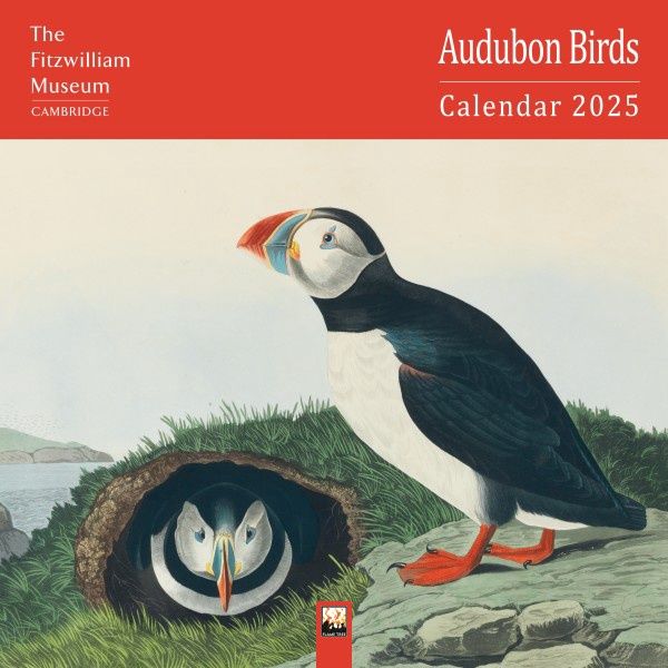 CA 2025 Wall Calendar Fitzwilliam Museum: Audubon Birds