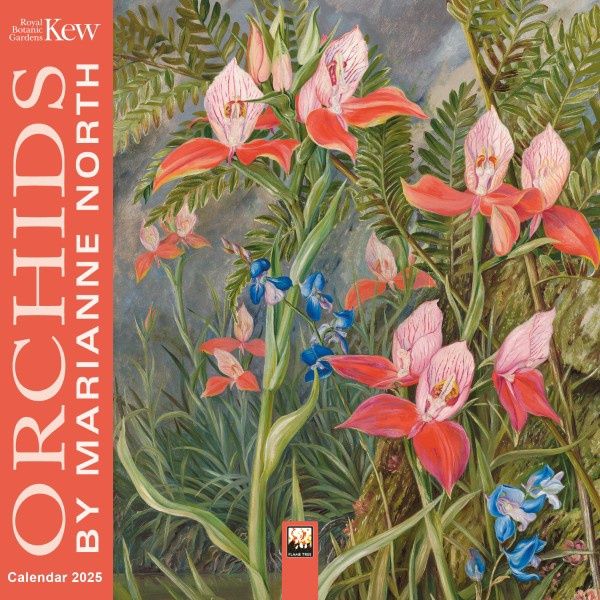 CA 2025 Kew Gardens: Orchids by Marianne North Mini Wall