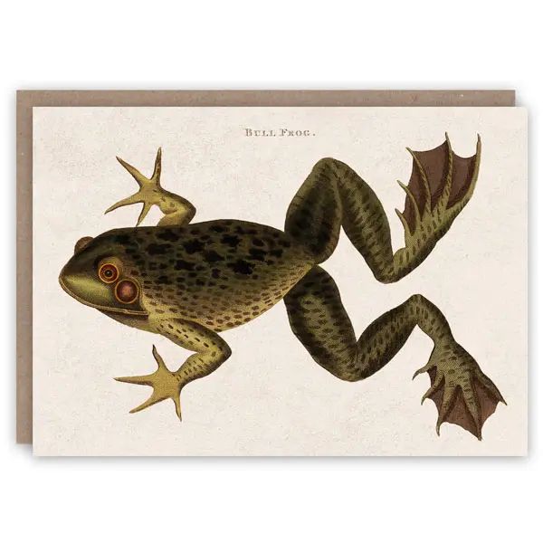 GC Bull Frog Greetings Card