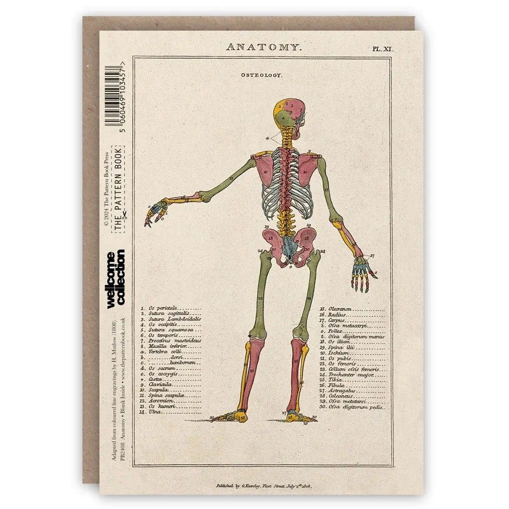 GC Anatomy Greetings Card