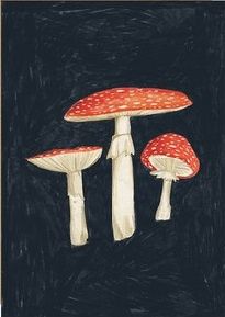PT Mushroom A4 Print