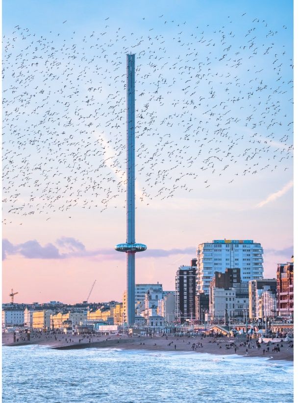 PC i360 Starlings