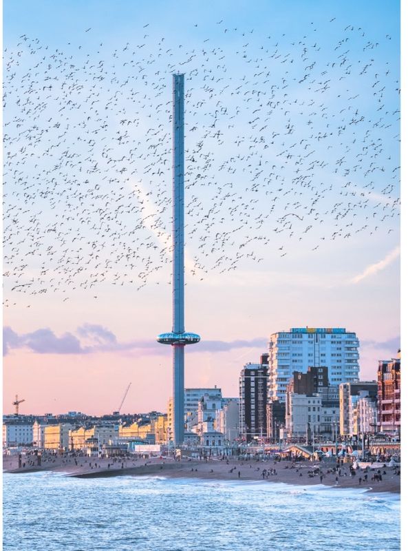 PC i360 Starlings