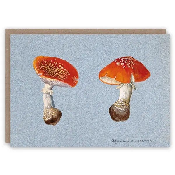 GC Fly Agaric Greetings Card
