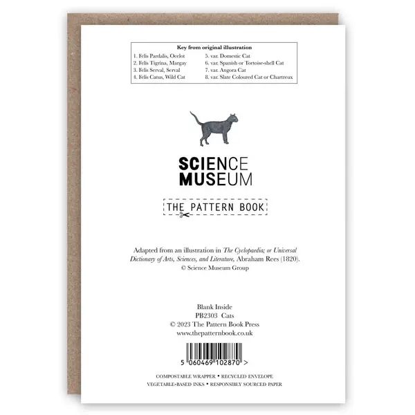 GC Cats Greeting Card