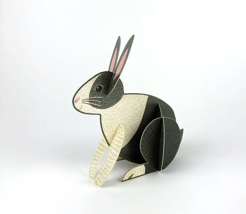 GC Pop-out Rabbit (12)