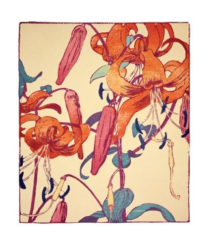 GC Tiger Lilies (12)