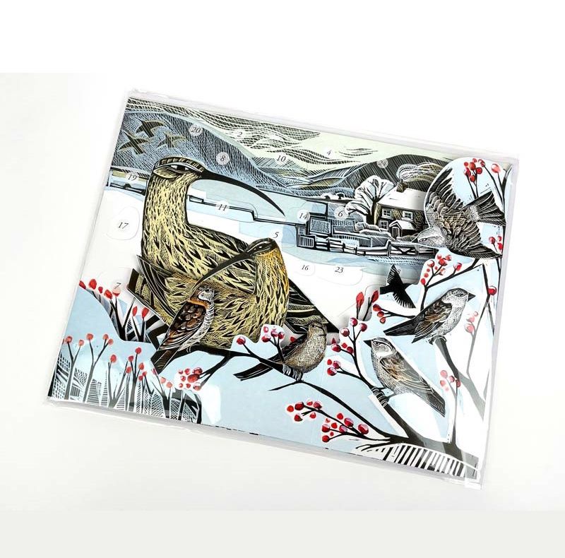 AC Curlew Christmas 3 Dimensional Advent Calendar