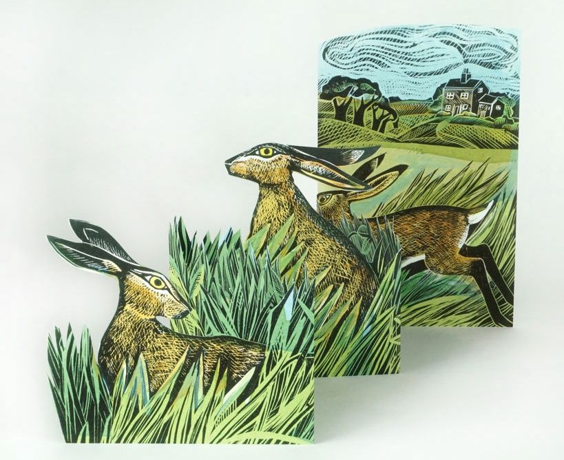 GC Hares and Open Fields (12)